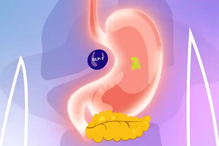 glp 1 como se toma Qué son los GLP-1 y cómo te ayudan con la diabetes tipo 2