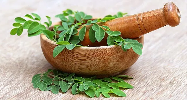on the Leafy Green Moringa’s Mighty Health Benefits