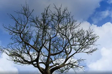 When the Seasons Change