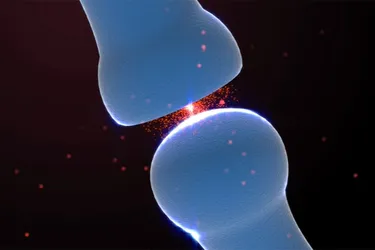 Advanced Treatments