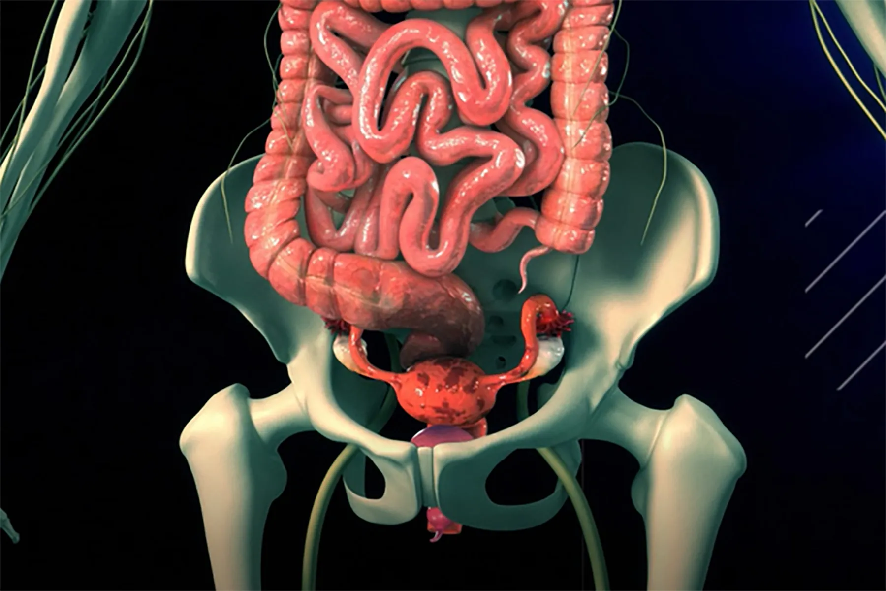 Why You Should Talk to Your Doctor