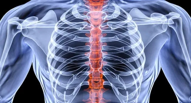 Bone Density Summary