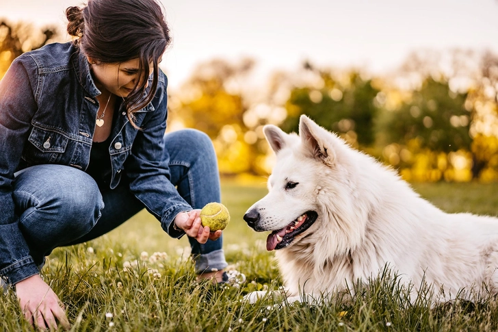 Find a Furry Friend