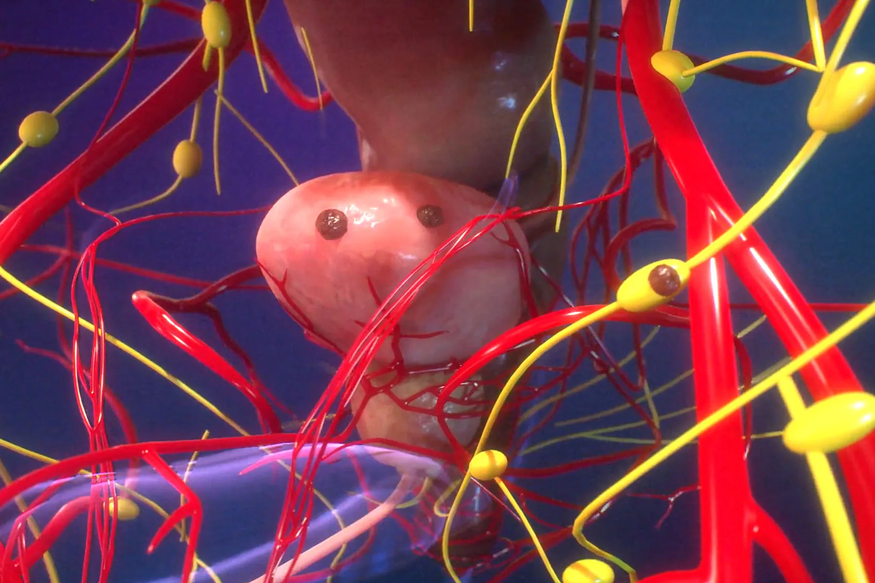 How your Cancer Forms and Spreads