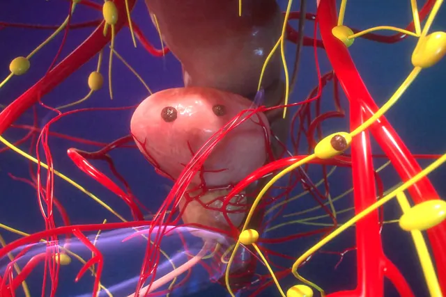 How your Cancer Forms and Spreads