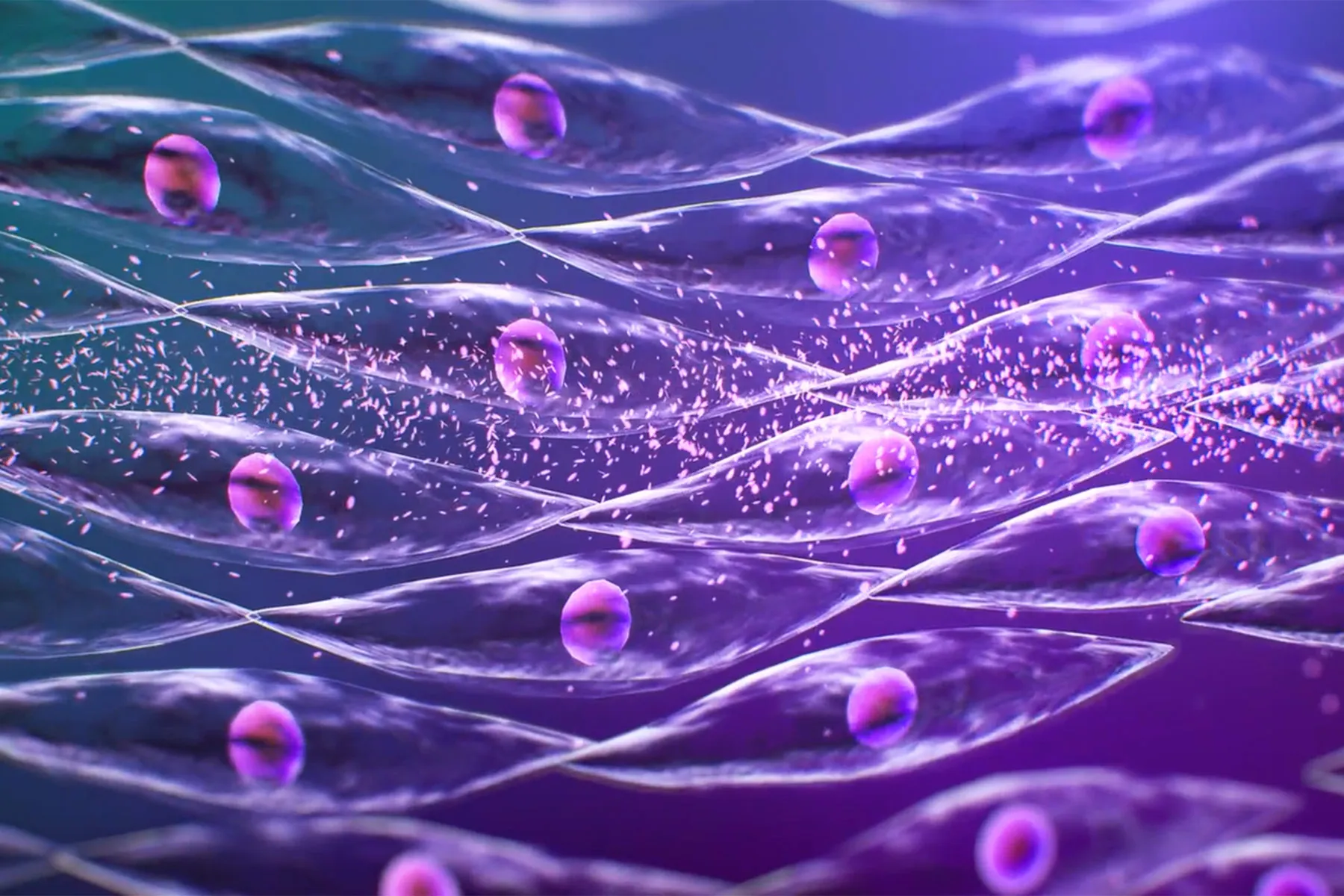 An Inside Look at Hyperkalemia