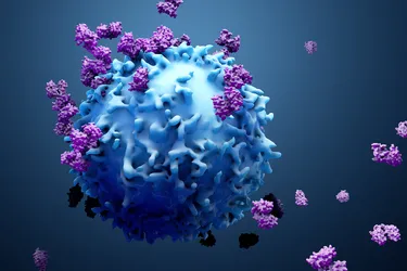 EGFR Mutations Defined