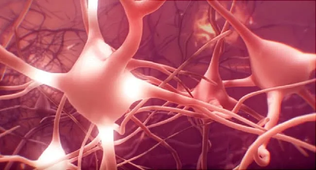 on What Happens During a Focal Onset Seizure