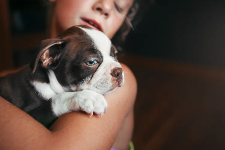 photo of girl holding puppy