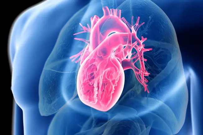 Learn About Your Afib