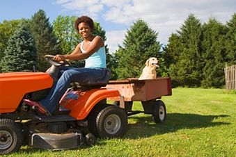 Mow the Lawn