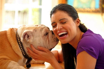 Pet Your Dog Pet Your Dog