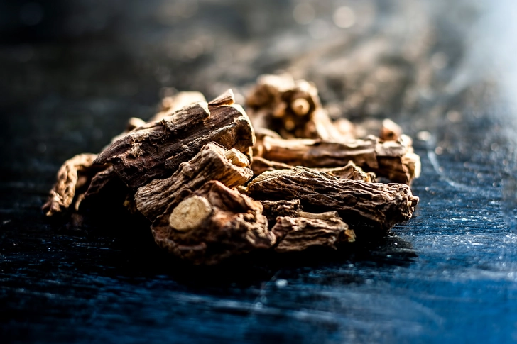 Sarsaparilla Sarsaparilla