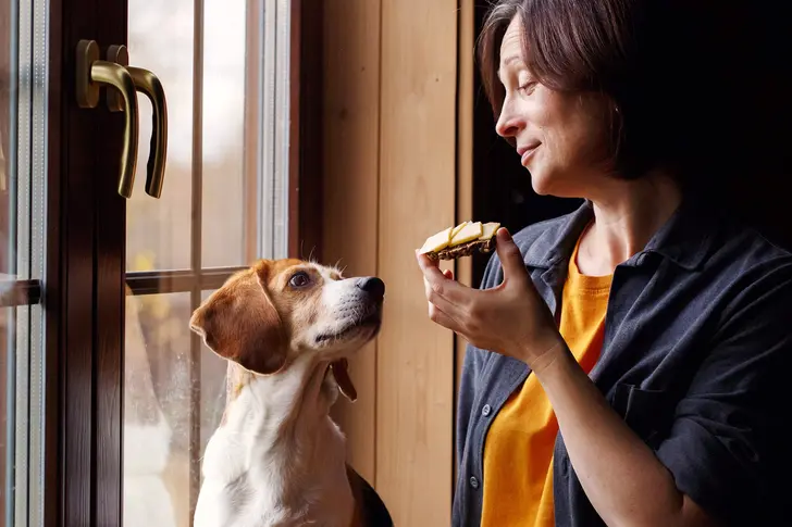 Pets: Surprising Health Benefits