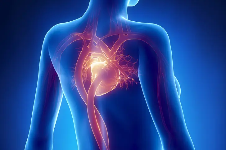 Why Is Heart Disease Different in African American Women? Why Is Heart Disease Different in African American Women?