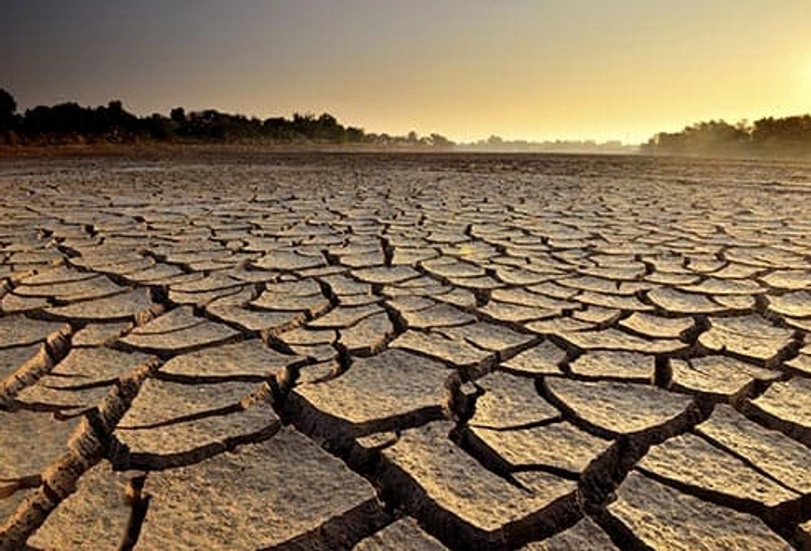 6. You’re Parched