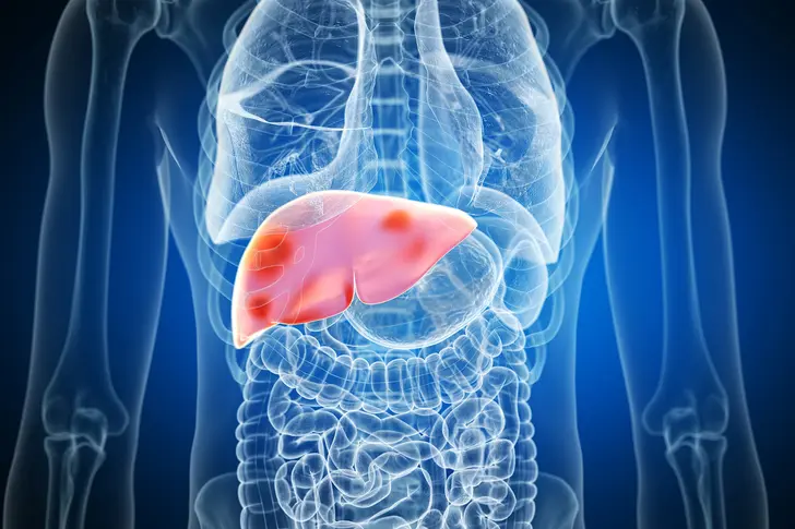 Caring for Your Liver