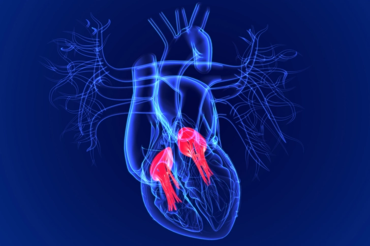 The Complications of HIV in Older People The Complications of HIV in Older People