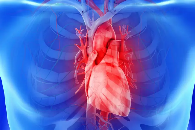Kalp Sağlığı Neden Önemlidir?