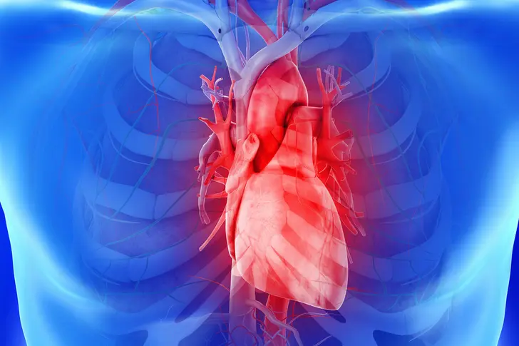 Why Is Heart Health Important?