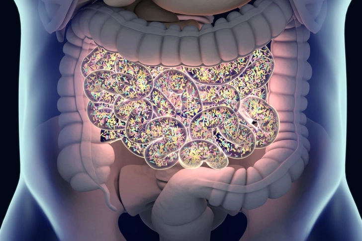 Your Gut Bacteria Aren't Helpful