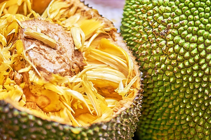 Jackfruit