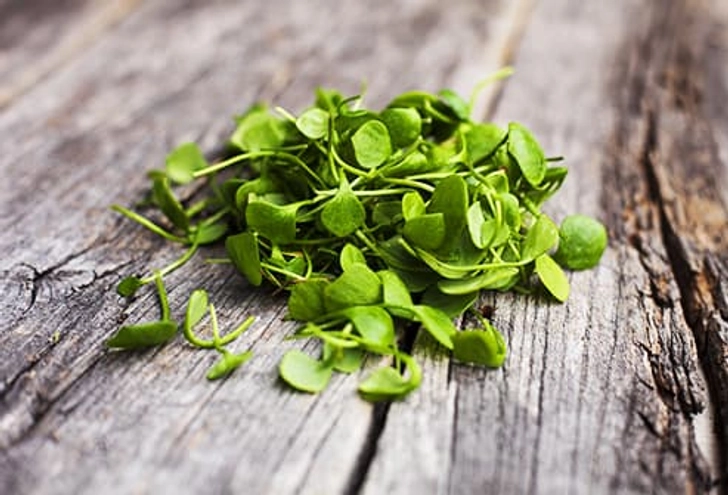 Watercress Watercress