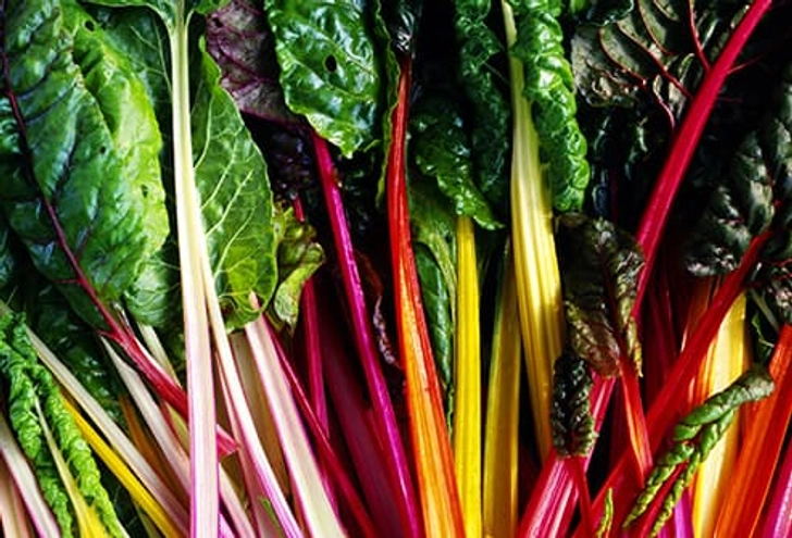 Swiss Chard Swiss Chard