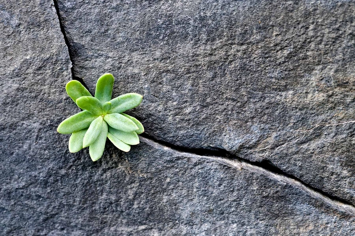 It changes you. There’s no changing that.