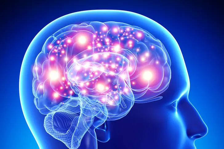 The Mind-Body Connection