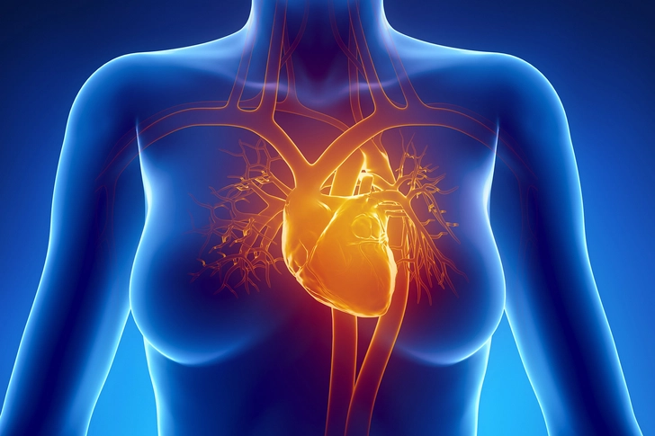 Harms Your Heart Harms Your Heart