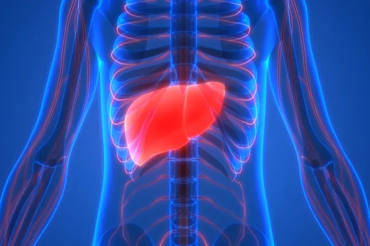 Understanding Fatty Liver Disease