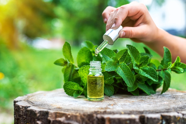 Peppermint Oil