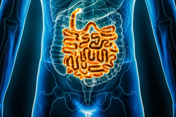 Phenotypes of Crohn's Phenotypes of Crohn's
