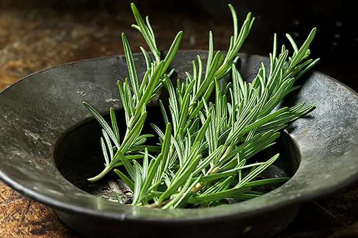 An Herb with Powerful Benefits An Herb with Powerful Benefits