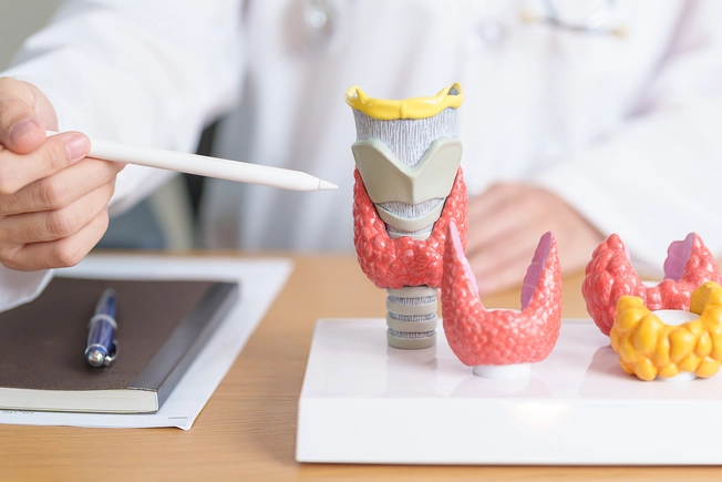 Thyroid Cancer Types