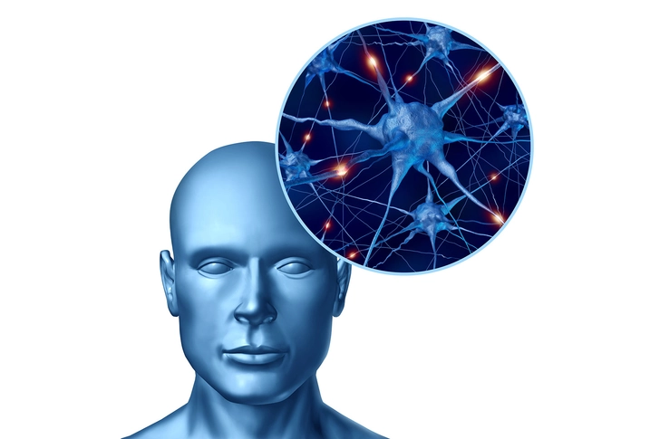 How ENS Works