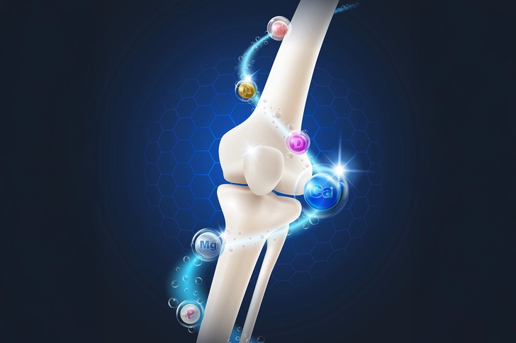 Bone Health Support Bone Health Support