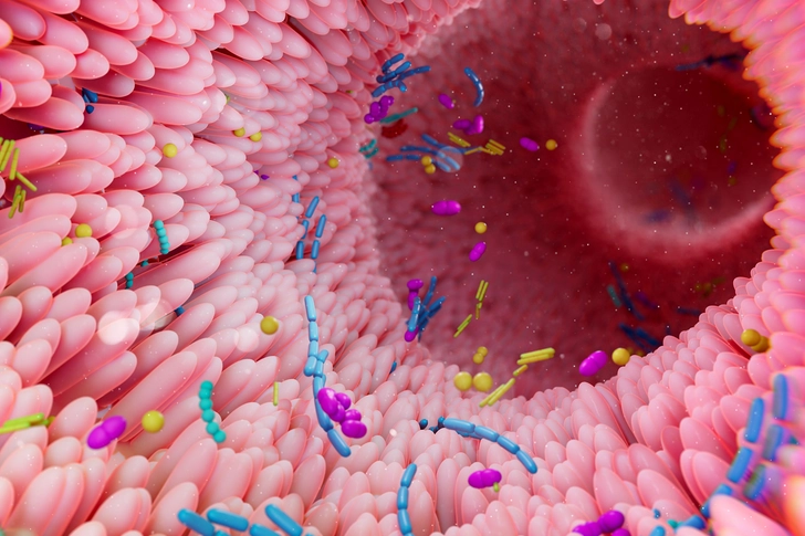 Healthy Gut Microbiome Healthy Gut Microbiome