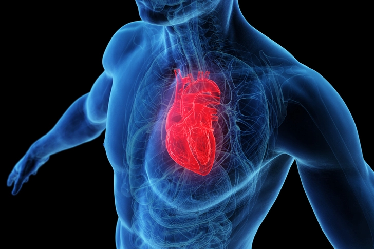 Heart Health Benefits Heart Health Benefits