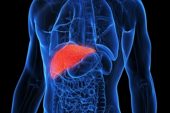 Don’t Ignore Your Liver Don’t Ignore Your Liver