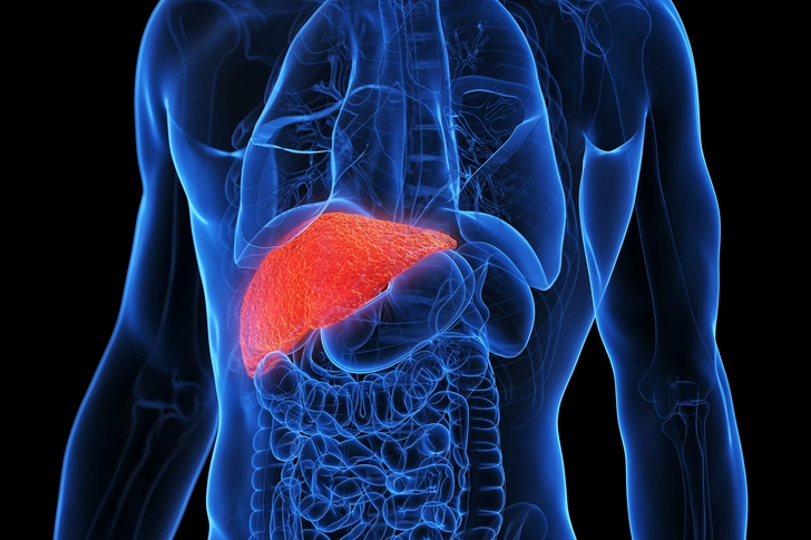 Liver Health Liver Health