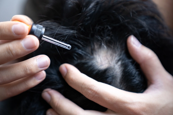 Scalp Massages and Essential Oils Scalp Massages and Essential Oils