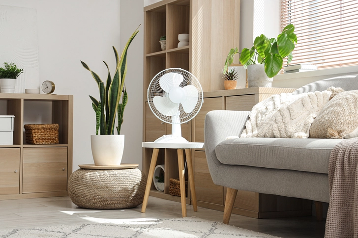 Home Environment Tips