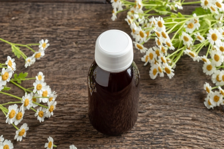 Feverfew Feverfew