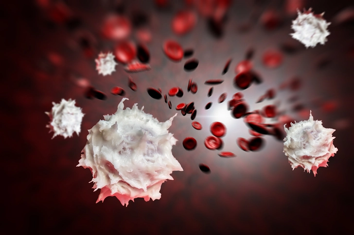Interpreting Your Viral Load Results Interpreting Your Viral Load Results
