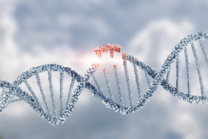 Gene Editing Gene Editing