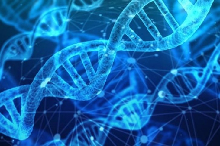 Causes and Risk Factors