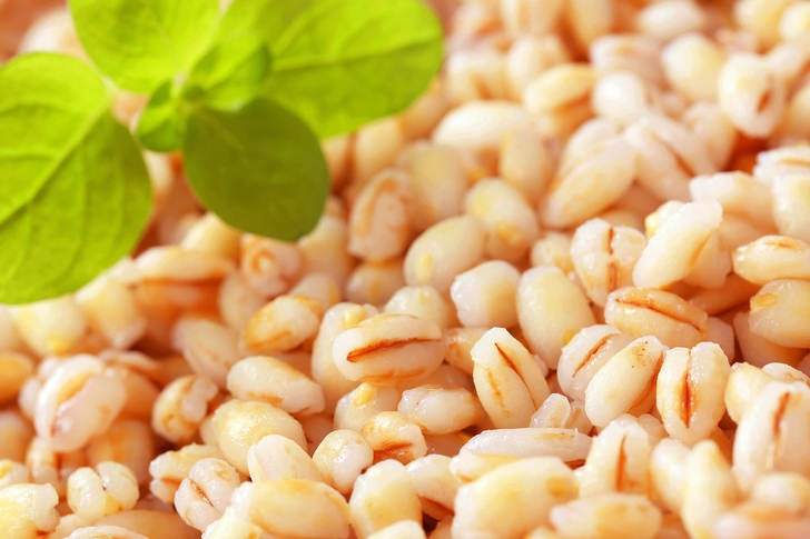 Barley Barley