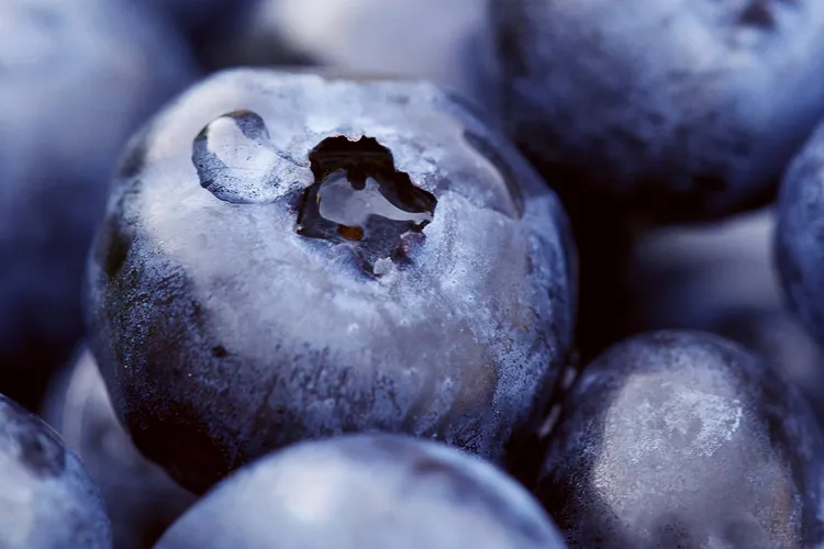 photo of blueberries close up